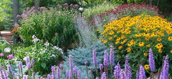 Latest Trends in Dubai Luxury Landscaping: Innovations from the Best Landscape Company in Dubai