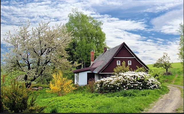 Emirates Hills Garden Maintenance Company in Dubai: How Aswat Almadinah Landscaping LLC Keeps Luxury Villas Pristine