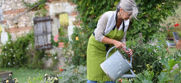 Indoor-Outdoor Living: Designing Seamless Transitions in Dubai Homes