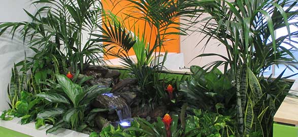 Expert Garden Maintenance Tips for Dubai's Climate: Insights from Top Landscapers