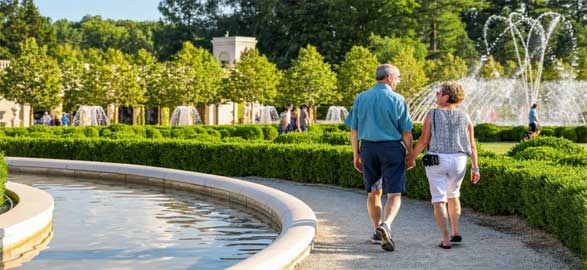 5 Stunning Garden Transformations by Dubai's Top Landscape Company