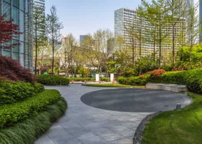 Commercial Landscape