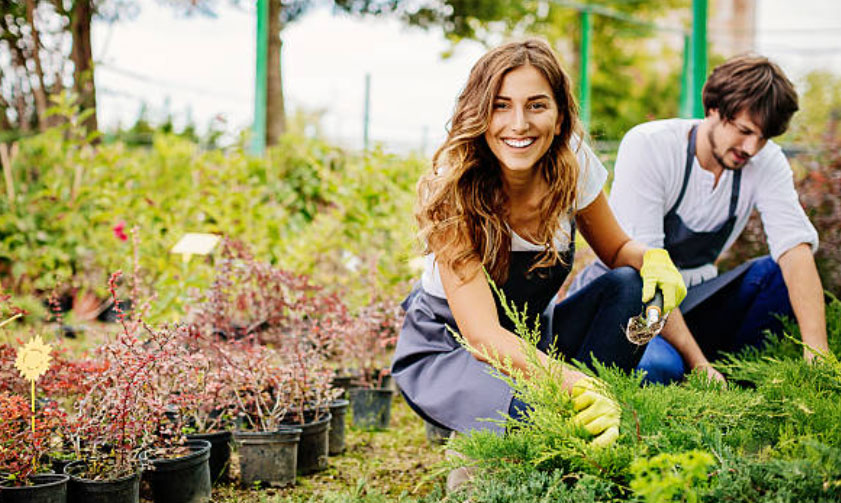 best landscape company dubai