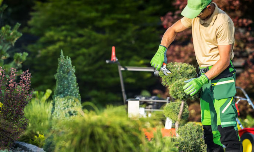 best landscape company dubai