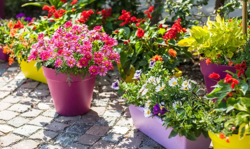 best landscape company dubai